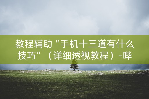 教程辅助“手机十三道有什么技巧”（详细透视教程）-哔哩哔哩