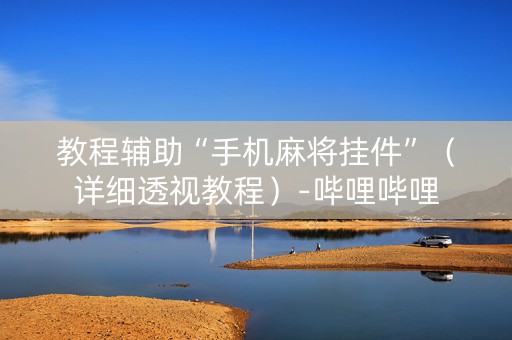 教程辅助“手机麻将挂件”（详细透视教程）-哔哩哔哩
