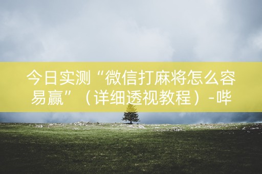 今日实测“微信打麻将怎么容易赢”（详细透视教程）-哔哩哔哩