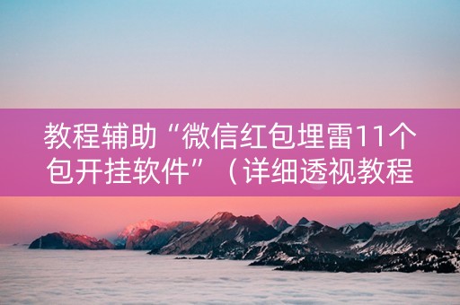 教程辅助“微信红包埋雷11个包开挂软件”（详细透视教程）-哔哩哔哩