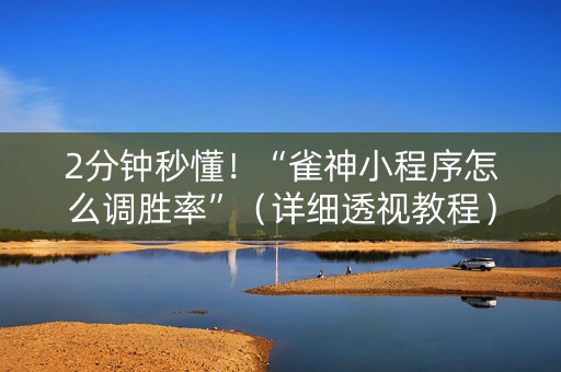 2分钟秒懂！“雀神小程序怎么调胜率”（详细透视教程）-哔哩哔哩