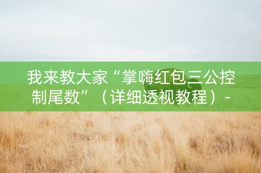 我来教大家“掌嗨红包三公控制尾数”（详细透视教程）-哔哩哔哩