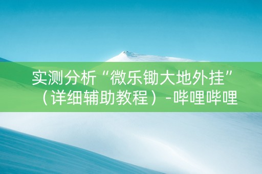 实测分析“微乐锄大地外挂”（详细辅助教程）-哔哩哔哩