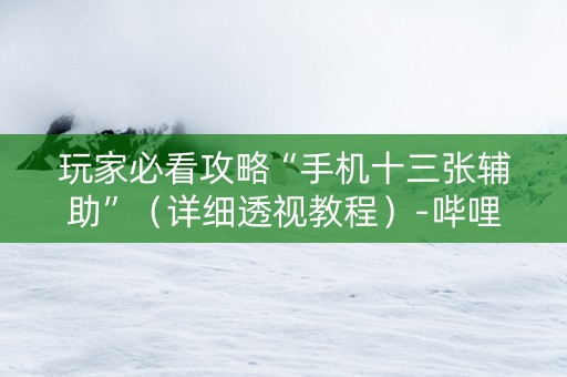 玩家必看攻略“手机十三张辅助”（详细透视教程）-哔哩哔哩