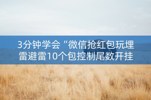 3分钟学会“微信抢红包玩埋雷避雷10个包控制尾数开挂软件”（详细透视教程）-哔哩哔哩