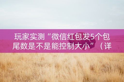 玩家实测“微信红包发5个包尾数是不是能控制大小”（详细透视教程）-哔哩哔哩