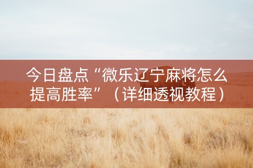 今日盘点“微乐辽宁麻将怎么提高胜率”（详细透视教程）-哔哩哔哩