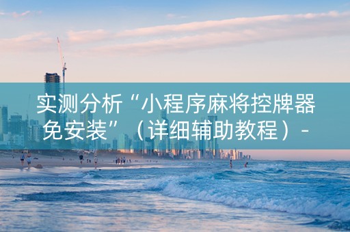 实测分析“小程序麻将控牌器免安装”（详细辅助教程）-哔哩哔哩