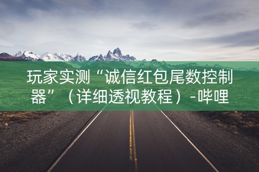 玩家实测“诚信红包尾数控制器”（详细透视教程）-哔哩哔哩