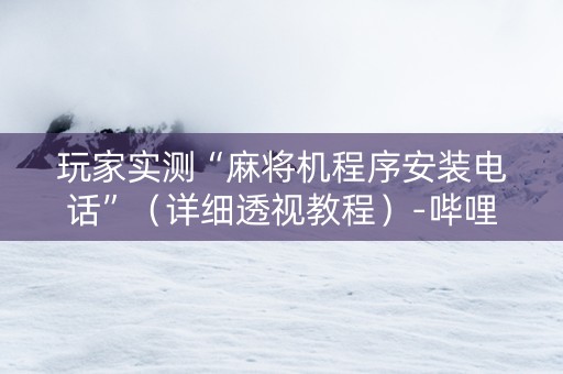 玩家实测“麻将机程序安装电话”（详细透视教程）-哔哩哔哩