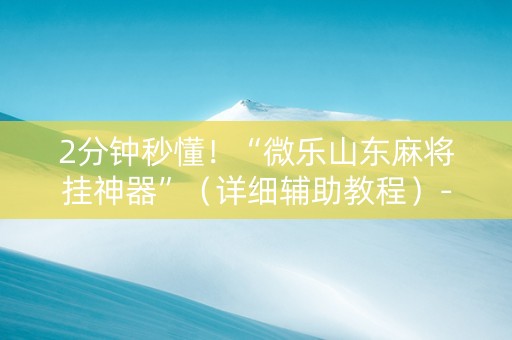 2分钟秒懂！“微乐山东麻将挂神器”（详细辅助教程）-哔哩哔哩