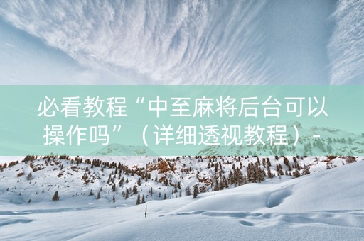 必看教程“中至麻将后台可以操作吗”（详细透视教程）-哔哩哔哩