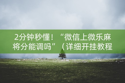 2分钟秒懂！“微信上微乐麻将分能调吗”（详细开挂教程）-哔哩哔哩