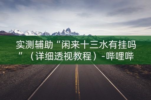 实测辅助“闲来十三水有挂吗”（详细透视教程）-哔哩哔哩