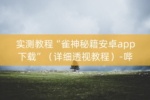 实测教程“雀神秘籍安卓app下载”（详细透视教程）-哔哩哔哩