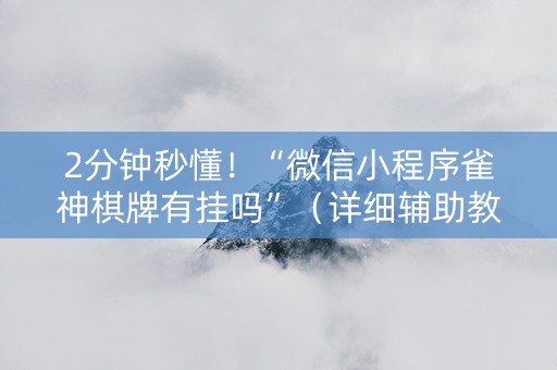 2分钟秒懂！“微信小程序雀神棋牌有挂吗”（详细辅助教程）-哔哩哔哩