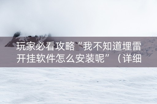 玩家必看攻略“我不知道埋雷开挂软件怎么安装呢”（详细透视教程）-哔哩哔哩