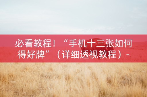 必看教程！“手机十三张如何得好牌”（详细透视教程）-哔哩哔哩
