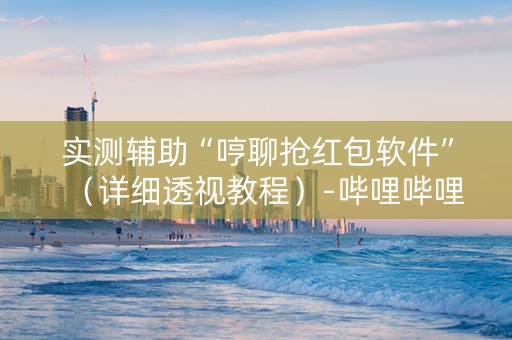 实测辅助“哼聊抢红包软件”（详细透视教程）-哔哩哔哩