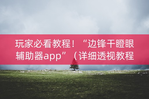 玩家必看教程！“边锋干瞪眼辅助器app”（详细透视教程）-哔哩哔哩
