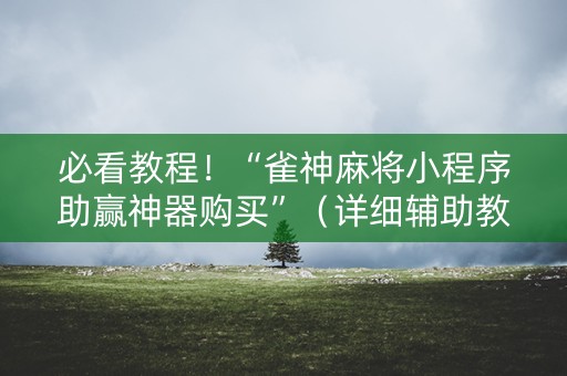必看教程！“雀神麻将小程序助赢神器购买”（详细辅助教程）-哔哩哔哩