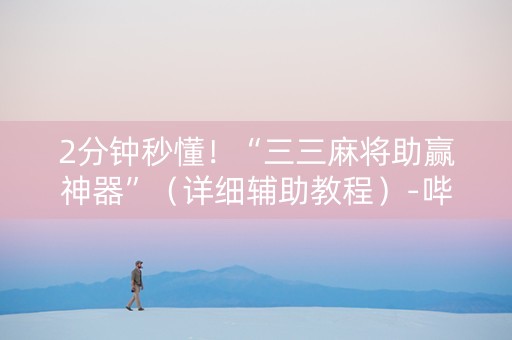 2分钟秒懂！“三三麻将助赢神器”（详细辅助教程）-哔哩哔哩