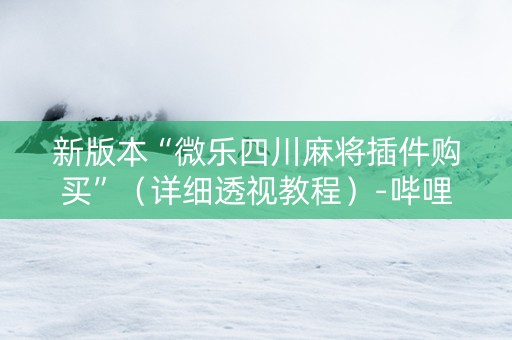 新版本“微乐四川麻将插件购买”（详细透视教程）-哔哩哔哩