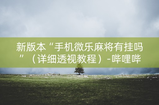 新版本“手机微乐麻将有挂吗”（详细透视教程）-哔哩哔哩