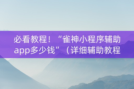 必看教程！“雀神小程序辅助app多少钱”（详细辅助教程）-哔哩哔哩