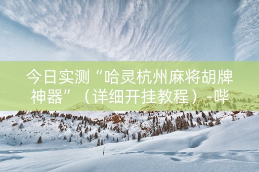 今日实测“哈灵杭州麻将胡牌神器”（详细开挂教程）-哔哩哔哩