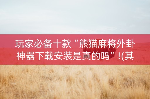 玩家必备十款“熊猫麻将外卦神器下载安装是真的吗”!(其实确实有挂)-知乎