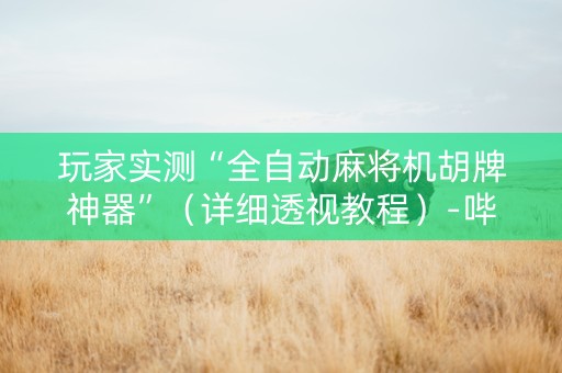 玩家实测“全自动麻将机胡牌神器”（详细透视教程）-哔哩哔哩