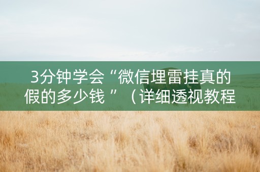 3分钟学会“微信埋雷挂真的假的多少钱 ”（详细透视教程）-哔哩哔哩