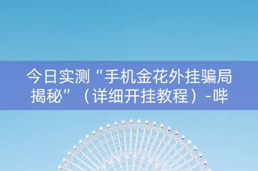 今日实测“手机金花外挂骗局揭秘”（详细开挂教程）-哔哩哔哩