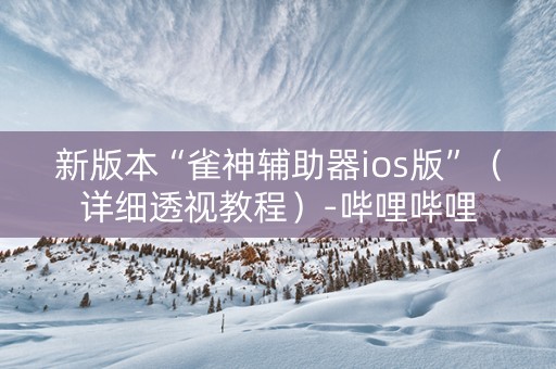新版本“雀神辅助器ios版”（详细透视教程）-哔哩哔哩