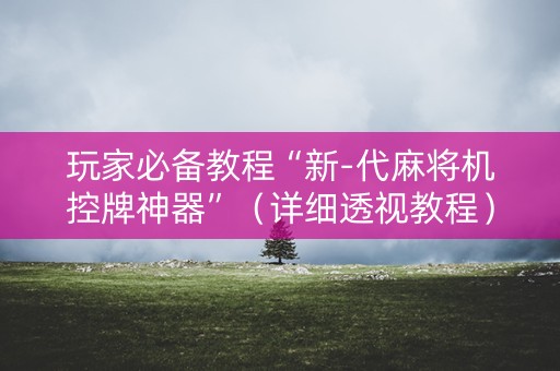 玩家必备教程“新-代麻将机控牌神器”（详细透视教程）-哔哩哔哩