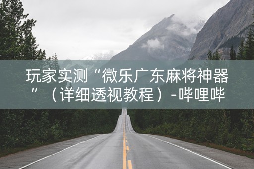 玩家实测“微乐广东麻将神器”（详细透视教程）-哔哩哔哩