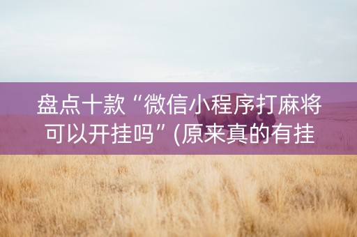 盘点十款“微信小程序打麻将可以开挂吗”(原来真的有挂)-知乎