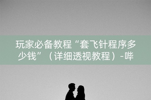 玩家必备教程“套飞针程序多少钱”（详细透视教程）-哔哩哔哩