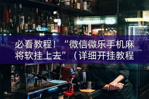 必看教程！“微信微乐手机麻将软挂上去”（详细开挂教程）-哔哩哔哩