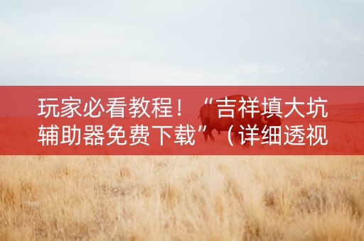 玩家必看教程！“吉祥填大坑辅助器免费下载”（详细透视教程）-哔哩哔哩