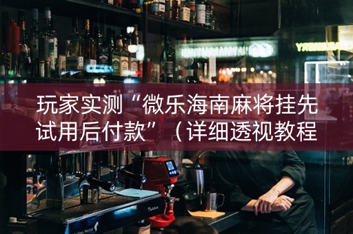 玩家实测“微乐海南麻将挂先试用后付款”（详细透视教程）-哔哩哔哩