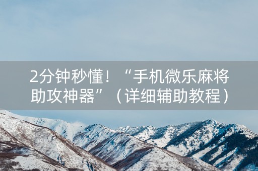 2分钟秒懂！“手机微乐麻将助攻神器”（详细辅助教程）-哔哩哔哩