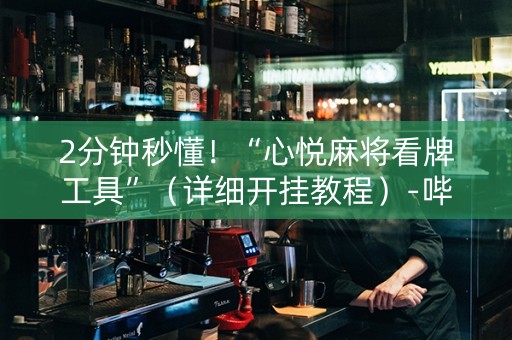 2分钟秒懂！“心悦麻将看牌工具”（详细开挂教程）-哔哩哔哩