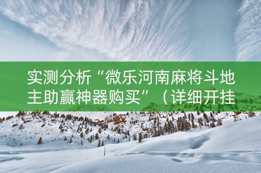实测分析“微乐河南麻将斗地主助赢神器购买”（详细开挂教程）-哔哩哔哩