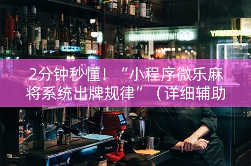 2分钟秒懂！“小程序微乐麻将系统出牌规律”（详细辅助教程）-哔哩哔哩