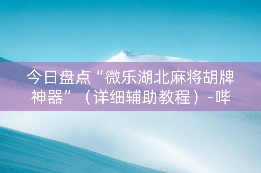 今日盘点“微乐湖北麻将胡牌神器”（详细辅助教程）-哔哩哔哩