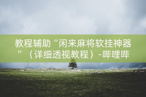 教程辅助“闲来麻将软挂神器”（详细透视教程）-哔哩哔哩