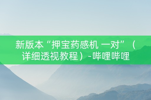 新版本“押宝药感机 一对”（详细透视教程）-哔哩哔哩