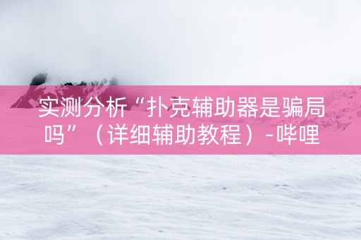 实测分析“扑克辅助器是骗局吗”（详细辅助教程）-哔哩哔哩